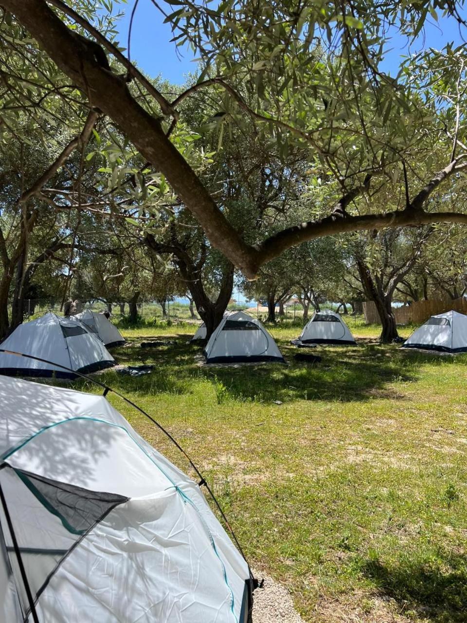Borsh Olive Camping酒店 外观 照片